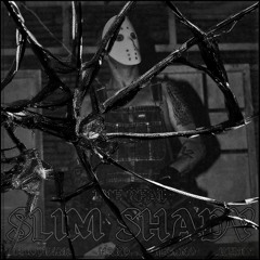 SLIM TECHNO