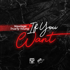 If You Want  - Nawlage & True'ly Young