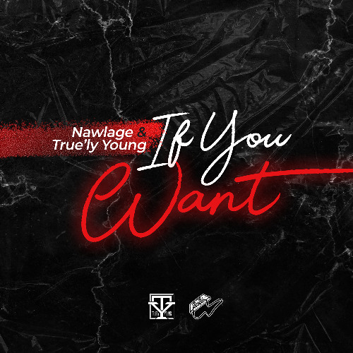 If You Want  - Nawlage & True'ly Young
