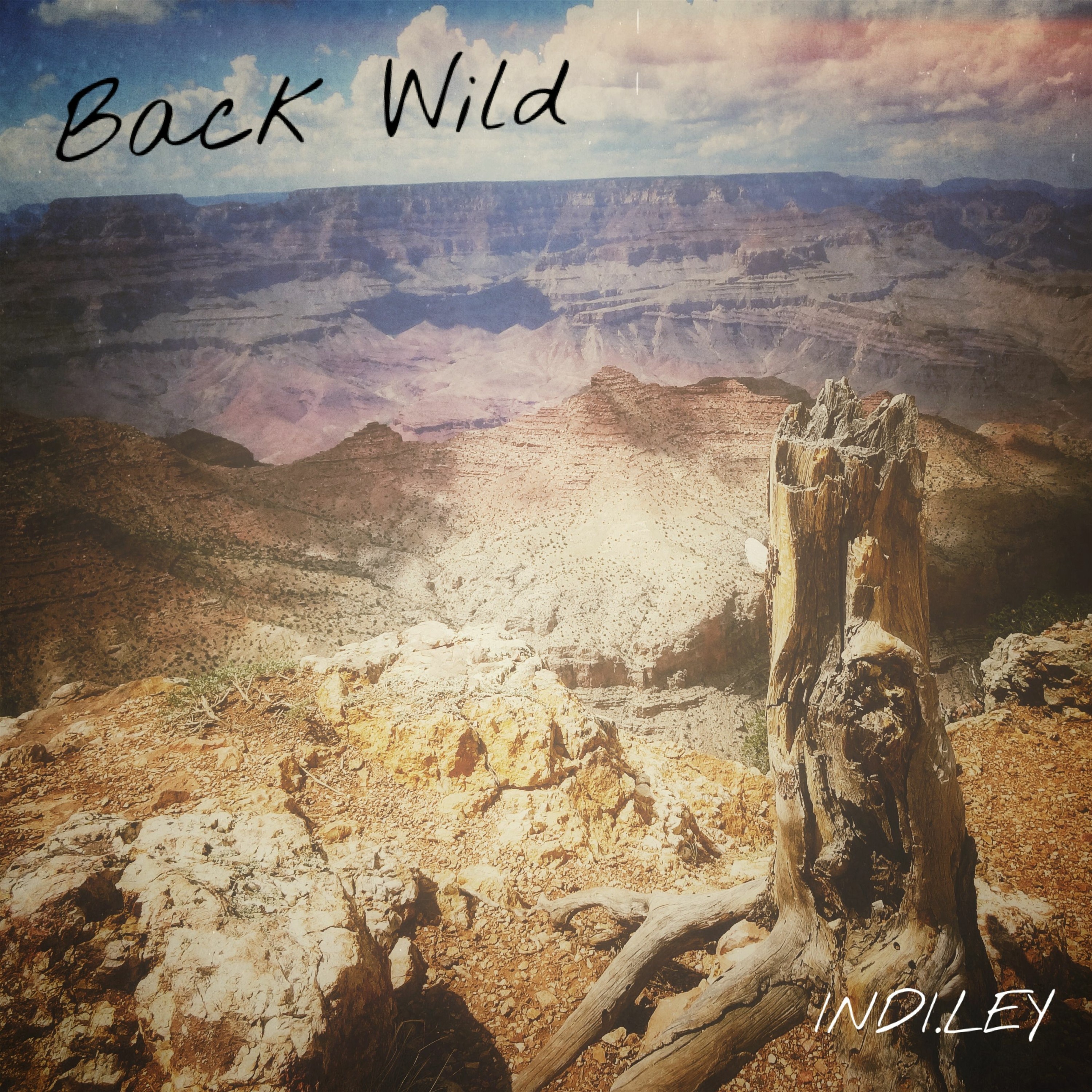 INDI.LEY