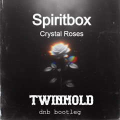Spiritbox - Crystal Roses (TWINMOLD dnb bootleg)