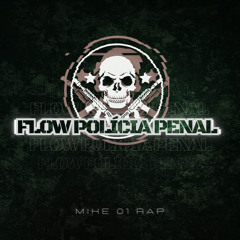 Flow Polícia Penal