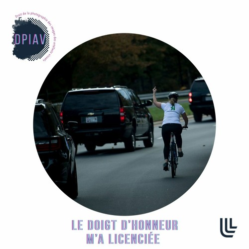 Stream Le doigt d’honneur m’a licenciée by Université de Lille Listen