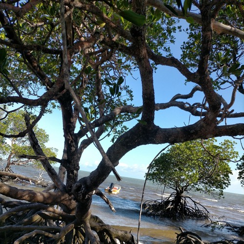 Awa Beau ah Bala Benji