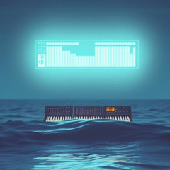 IN THE WATER