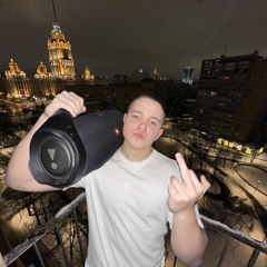 Мне насрали в динамики🤫