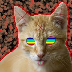 Did You Know That Cats Love Acid?