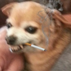 BOBDOG - 2ZAT (perc Ganj' mix)