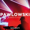 Pawlowski @ Verknipt 10 Years DJ mix artwork - Electronic music tracklist cover image