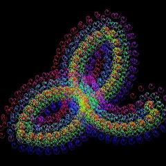 Flower Rhythms 1