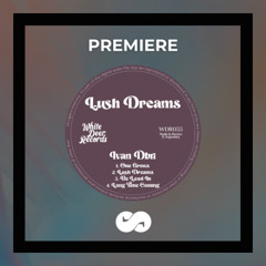 PREMIERE: Ivan Dbri - Be Lead In (White Deer Records)