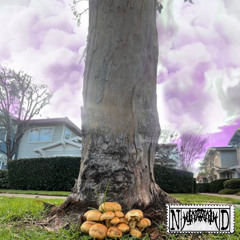 HazySkies ft. hooligan. [prod.Adios]