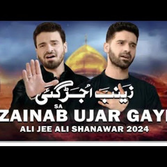 Zainab Ujar Gayi  Ali Shanawar & Ali Jee  2024  1446.mp3