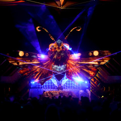 Autogenesis @ Dragon Dreaming Festival 2025
