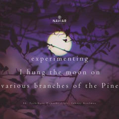 I Hung The Moon On Various Branches (naviarhaiku391) - Adrian Lane