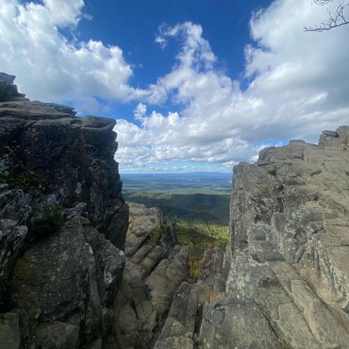 forget-me-not (Prod.byCian)