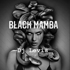 DJ Levis - Black Mamba (Original Mix)