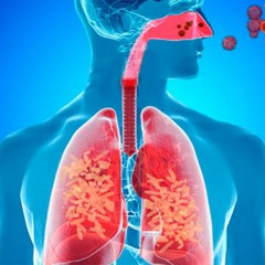 Lung Infection Home Remedy | Eradicate Bacteria, Fungi, and Viruses & Stop Coughing and fever