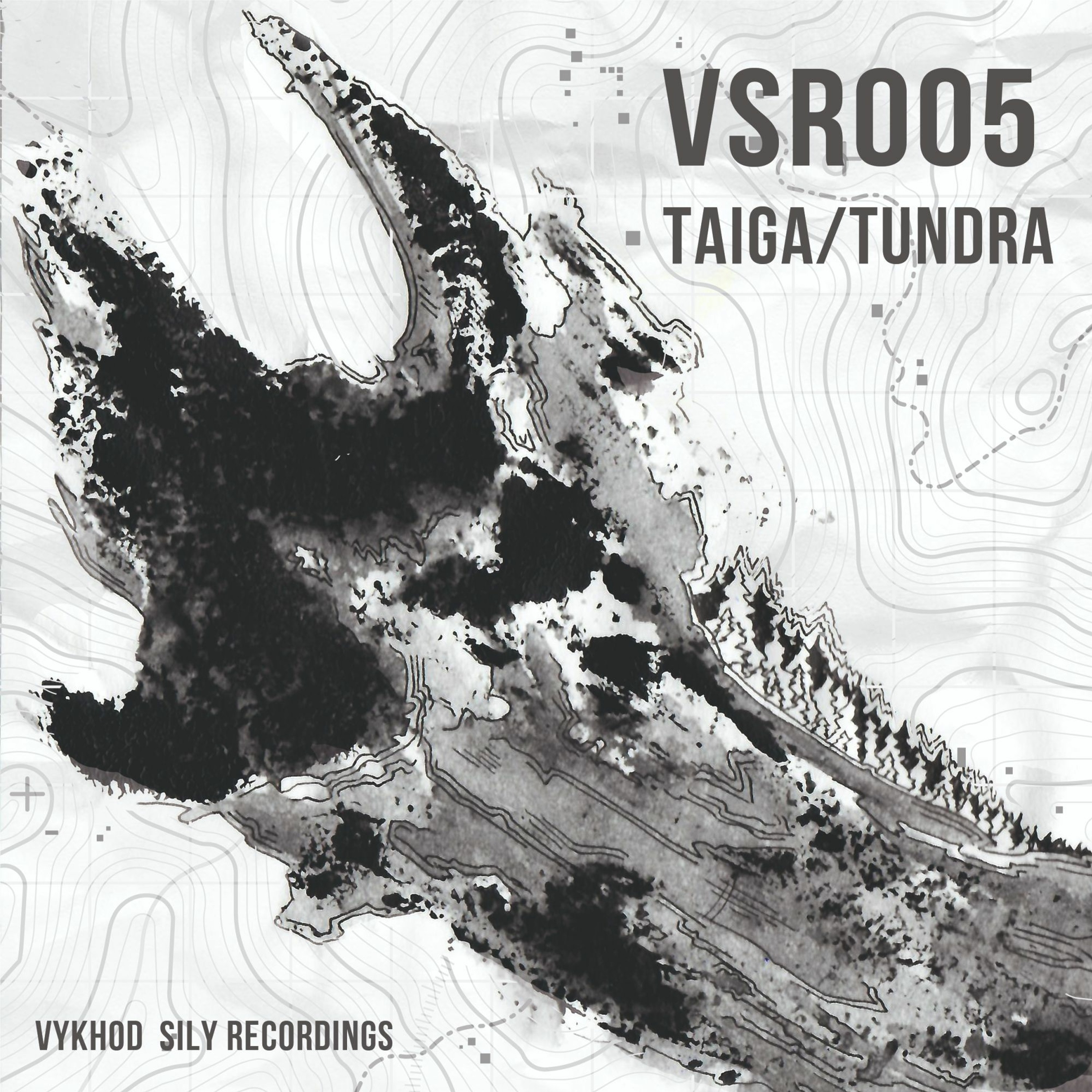 Taiga/Tundra [VSR005] episode artwork