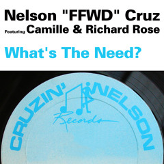 What's the Need? (Universal Hip-Hop Bass Music Mix) [feat. Camille & Richard Rose]