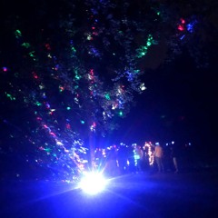 Silent Disco in het Bos - September 2020 Closing party