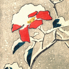 Foliage - Flowers That You Like