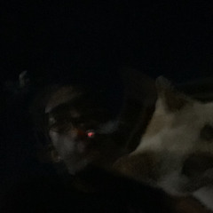 rekklaw - everything everything (prod. saymn)