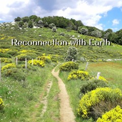 Reconnection with Earth (with video)