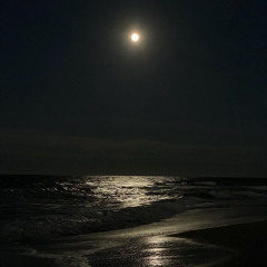 ياليت قلبي من جروحك تعلم