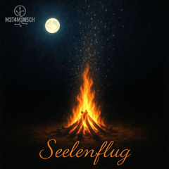 M3T4M3N5CH - Seelenflug