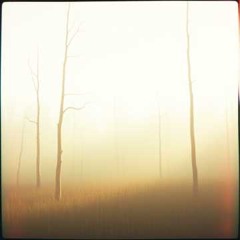 Finally Free - Original Song