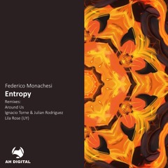 Federico Monachesi - Entropy (Original Mix)