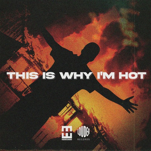 HEDEGAARD - This Is Why I'm Hot