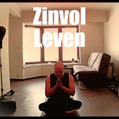 Zinvol Leven Clean Remastered 49 Buttons 2025
