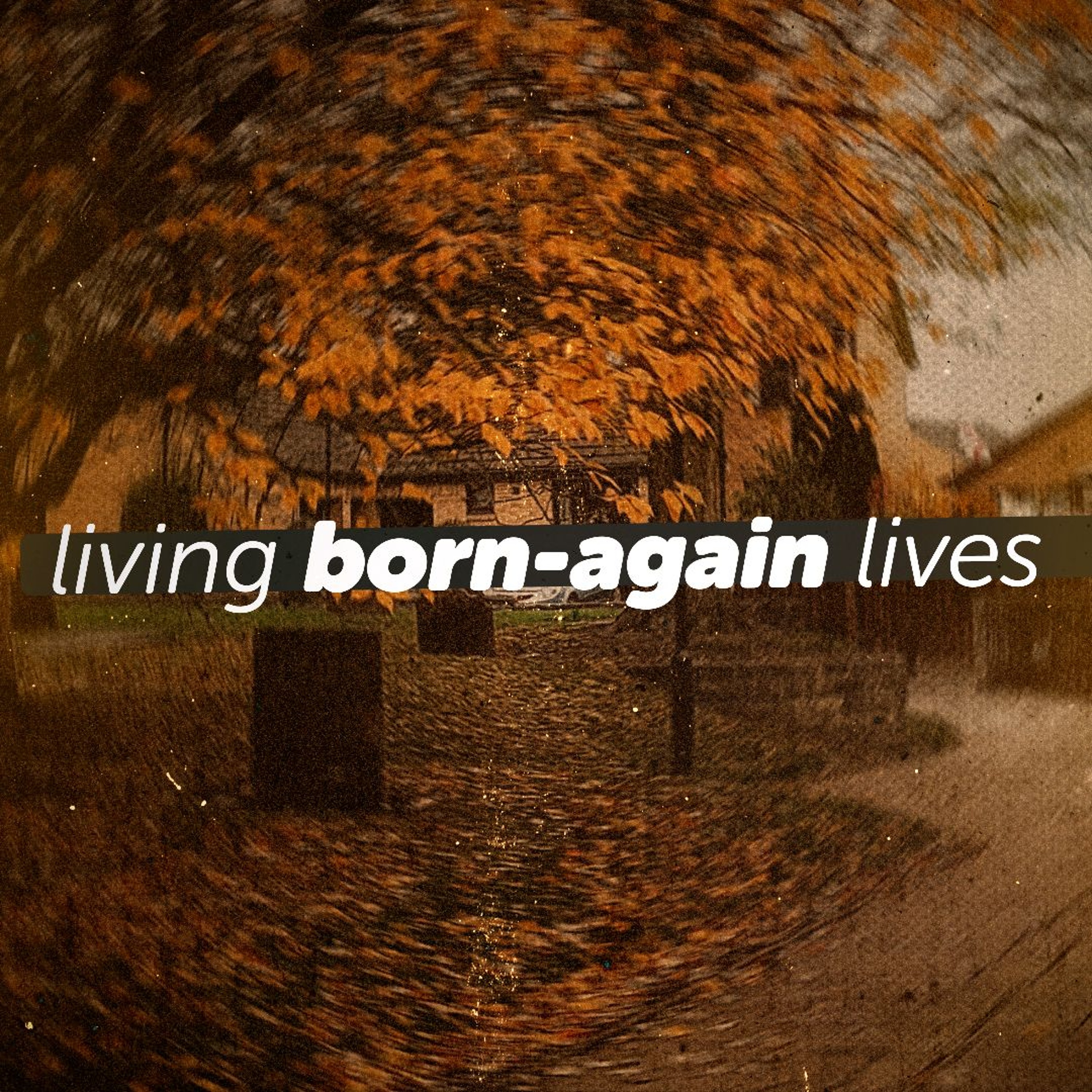 Jonathan McGill | Living Born Again Lives | 6th October 2024