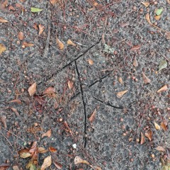 menu theme (heaven earth)