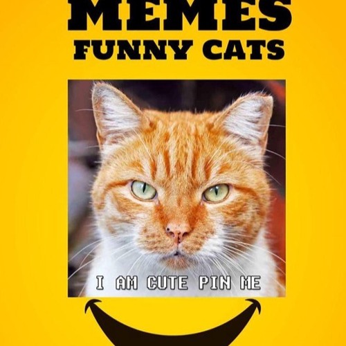 boots, but also cats