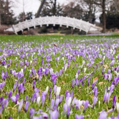 Katy Perry & Timbaland - If We Ever Meet Again Beautiful Piano