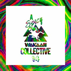 A Spicy Wakaan Collective 14