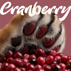 CRANBERRY BEAT