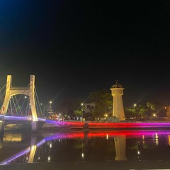 Bông Hoa Nở Muộn - Remix