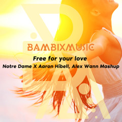 Free for your Love - Bambixmusic Edit (Notre Dame X Aaron Hibell, Alex Wann Mashup)