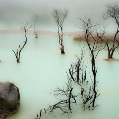 February Clips (w/ @1kiroku + @1comrd + @prod.dumb + @martin.leib + @prodlampp + @tetrioss)