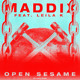 on Open Sesame (Abracadabra) [feat. Leila K]
