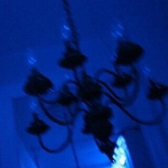 l o v e l y slowed down