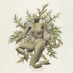 Of Petals, Wounds & Becoming