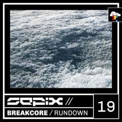 Sepix - Breakcore Rundown Nineteen
