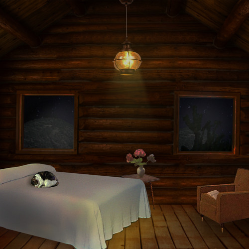 Home Comforts - 12 - Sleep