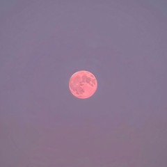 Full Moon