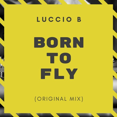 Born to fly (original mix)